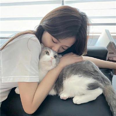 卖肉养孤儿粤语