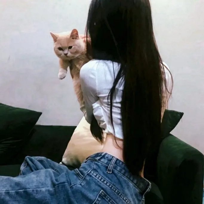 阿波罗之歌